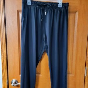 Zyia Active Everywhere Pants Size Large